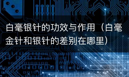 白毫银针的功效与作用（白毫金针和银针的差别在哪里）
