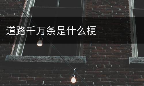 道路千万条是什么梗