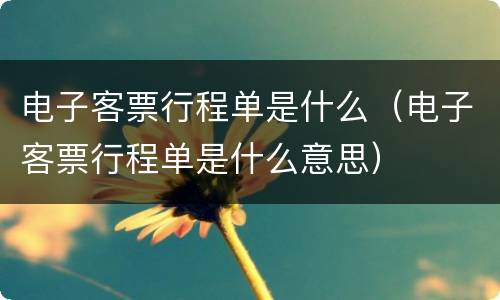 电子客票行程单是什么（电子客票行程单是什么意思）