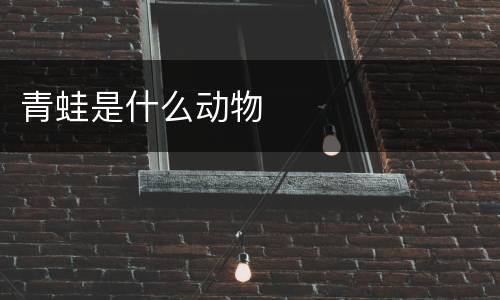 青蛙是什么动物