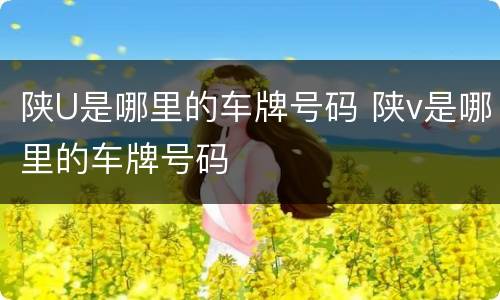 陕U是哪里的车牌号码 陕v是哪里的车牌号码