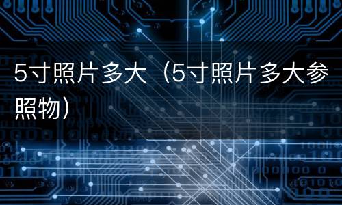 5寸照片多大（5寸照片多大参照物）