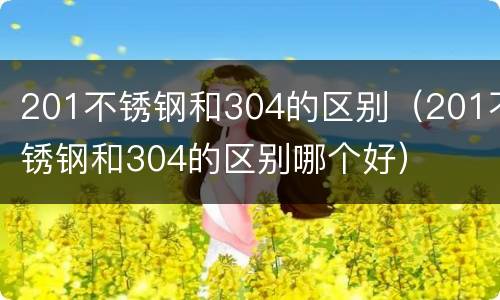 201不锈钢和304的区别（201不锈钢和304的区别哪个好）