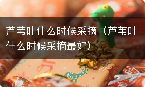 芦苇叶什么时候采摘（芦苇叶什么时候采摘最好）