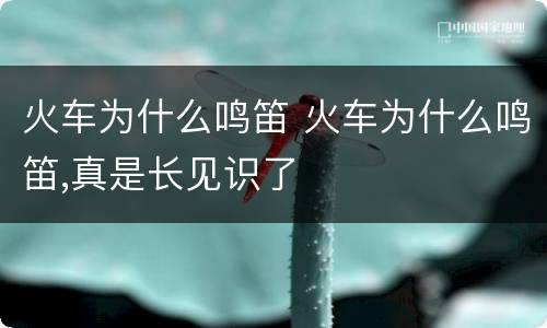 火车为什么鸣笛 火车为什么鸣笛,真是长见识了