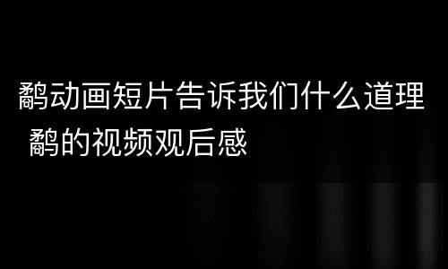 鹬动画短片告诉我们什么道理 鹬的视频观后感