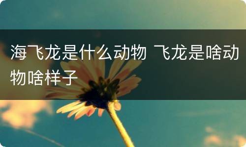 海飞龙是什么动物 飞龙是啥动物啥样子