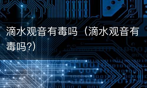 滴水观音有毒吗（滴水观音有毒吗?）
