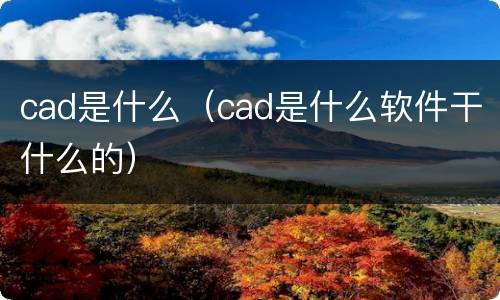 cad是什么（cad是什么软件干什么的）