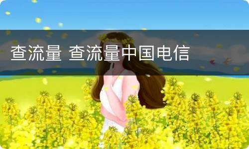 查流量 查流量中国电信
