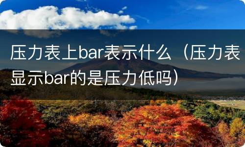 压力表上bar表示什么（压力表显示bar的是压力低吗）