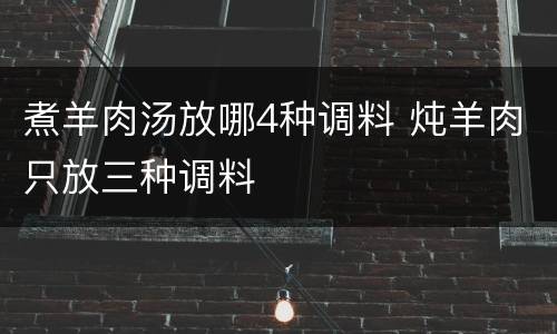 煮羊肉汤放哪4种调料 炖羊肉只放三种调料