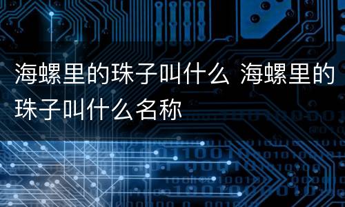 海螺里的珠子叫什么 海螺里的珠子叫什么名称