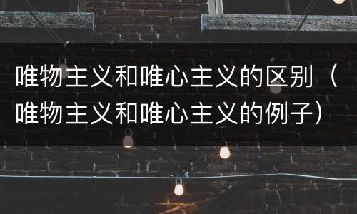 唯物主义和唯心主义的区别（唯物主义和唯心主义的例子）