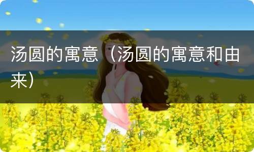 汤圆的寓意（汤圆的寓意和由来）
