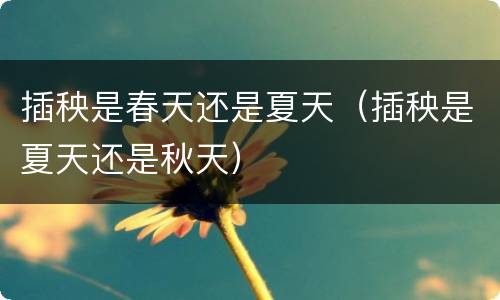 插秧是春天还是夏天（插秧是夏天还是秋天）