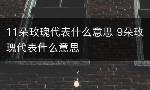 11朵玫瑰代表什么意思 9朵玫瑰代表什么意思