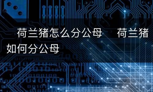 ​荷兰猪怎么分公母 ​荷兰猪如何分公母