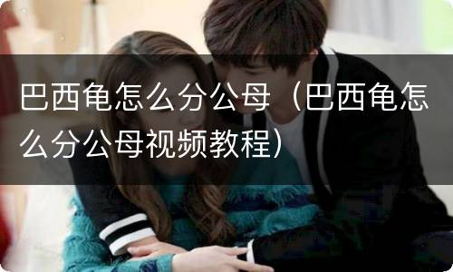 巴西龟怎么分公母（巴西龟怎么分公母视频教程）