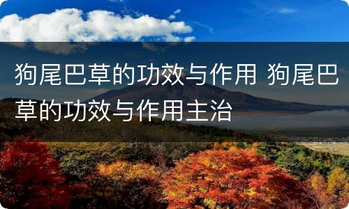 狗尾巴草的功效与作用 狗尾巴草的功效与作用主治