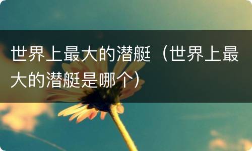 世界上最大的潜艇（世界上最大的潜艇是哪个）