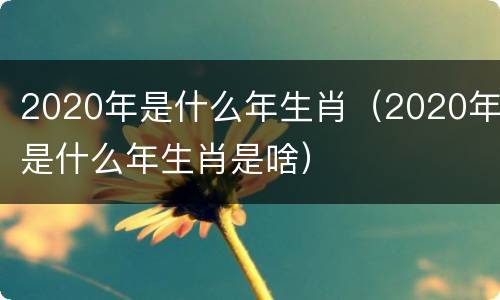 2020年是什么年生肖（2020年是什么年生肖是啥）