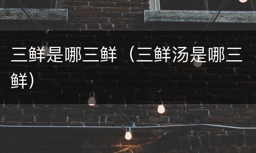 三鲜是哪三鲜（三鲜汤是哪三鲜）