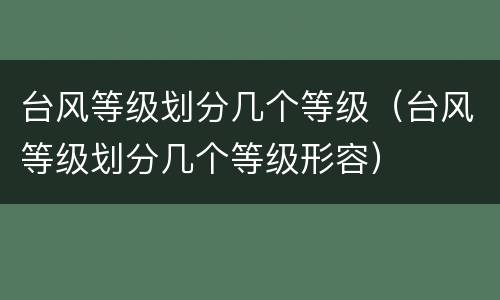 台风等级划分几个等级（台风等级划分几个等级形容）