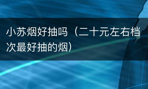 小苏烟好抽吗（二十元左右档次最好抽的烟）