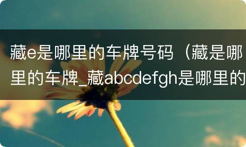 藏e是哪里的车牌号码（藏是哪里的车牌_藏abcdefgh是哪里的车牌号）