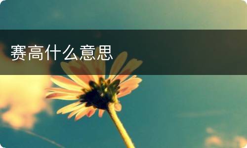 赛高什么意思