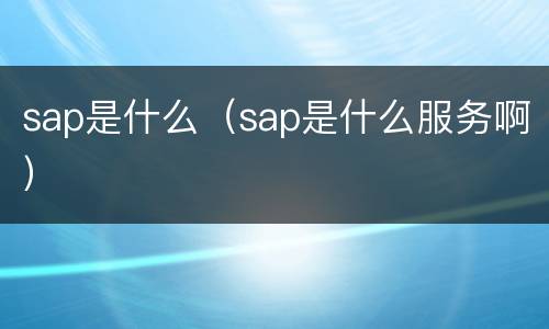 sap是什么（sap是什么服务啊）