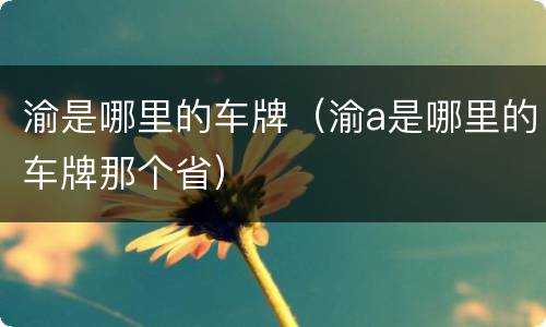 渝是哪里的车牌（渝a是哪里的车牌那个省）