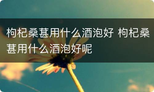 枸杞桑葚用什么酒泡好 枸杞桑葚用什么酒泡好呢