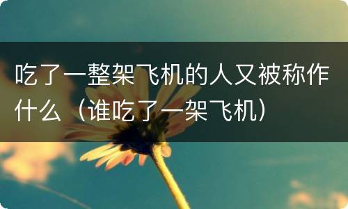 吃了一整架飞机的人又被称作什么（谁吃了一架飞机）
