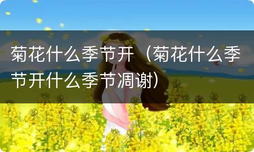 菊花什么季节开（菊花什么季节开什么季节凋谢）