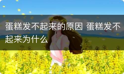 蛋糕发不起来的原因 蛋糕发不起来为什么
