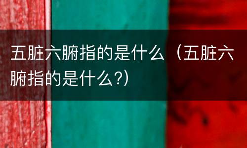 五脏六腑指的是什么（五脏六腑指的是什么?）