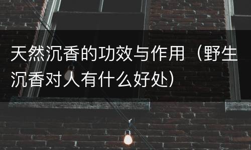 天然沉香的功效与作用（野生沉香对人有什么好处）