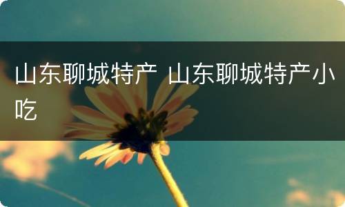 山东聊城特产 山东聊城特产小吃
