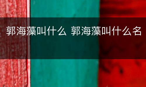 郭海藻叫什么 郭海藻叫什么名