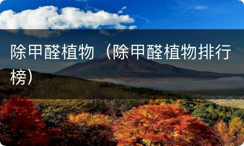 除甲醛植物（除甲醛植物排行榜）