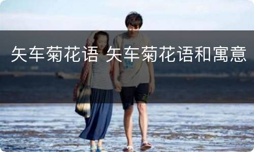 矢车菊花语 矢车菊花语和寓意