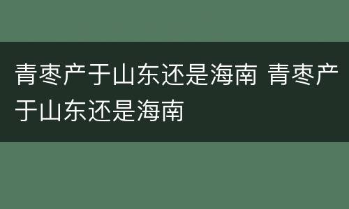 青枣产于山东还是海南 青枣产于山东还是海南