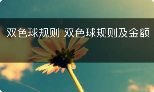 双色球规则 双色球规则及金额