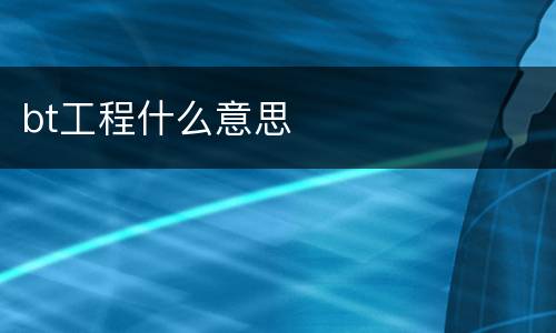 bt工程什么意思