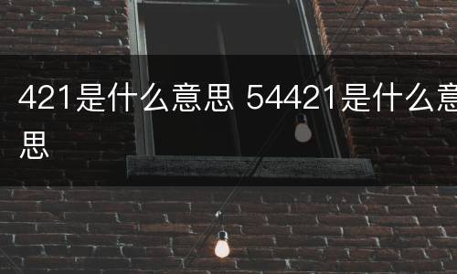 421是什么意思 54421是什么意思