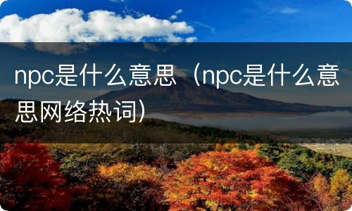 npc是什么意思（npc是什么意思网络热词）