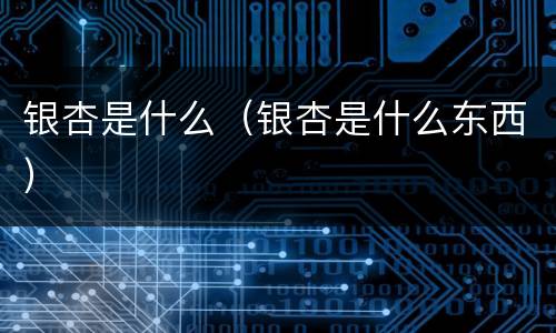 银杏是什么（银杏是什么东西）