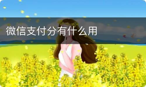 微信支付分有什么用